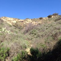 Oak Canyon Nature Center (Anaheim) - All You Need to Know BEFORE You Go