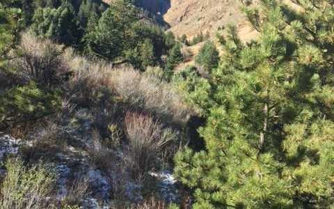 Great Hiking! Awesome views!