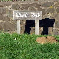 Whale Park in Yachats