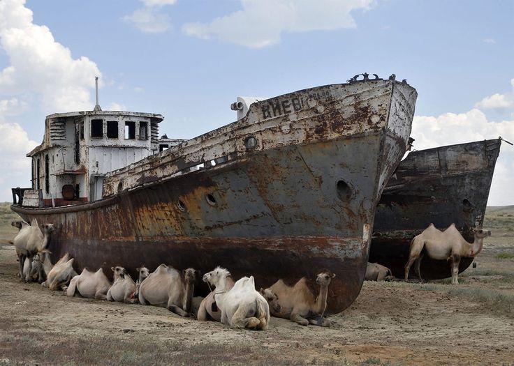 The Regional History and Aral Sea Museum