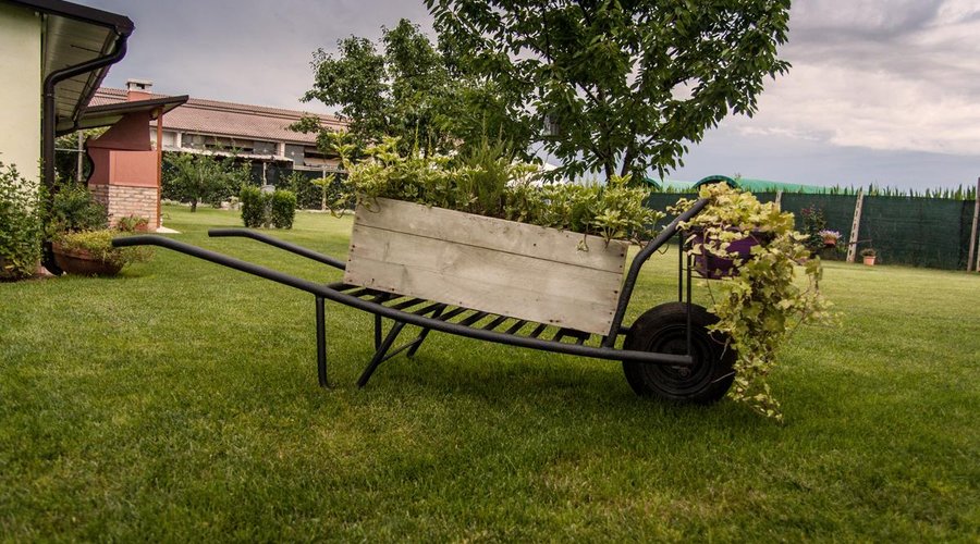 Il giardino