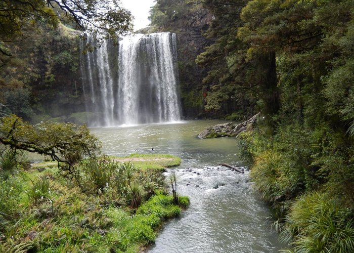 Whangarei Falls from a little up stream