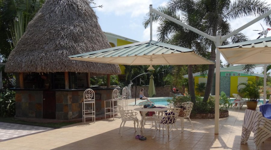 Special Dining Oasis