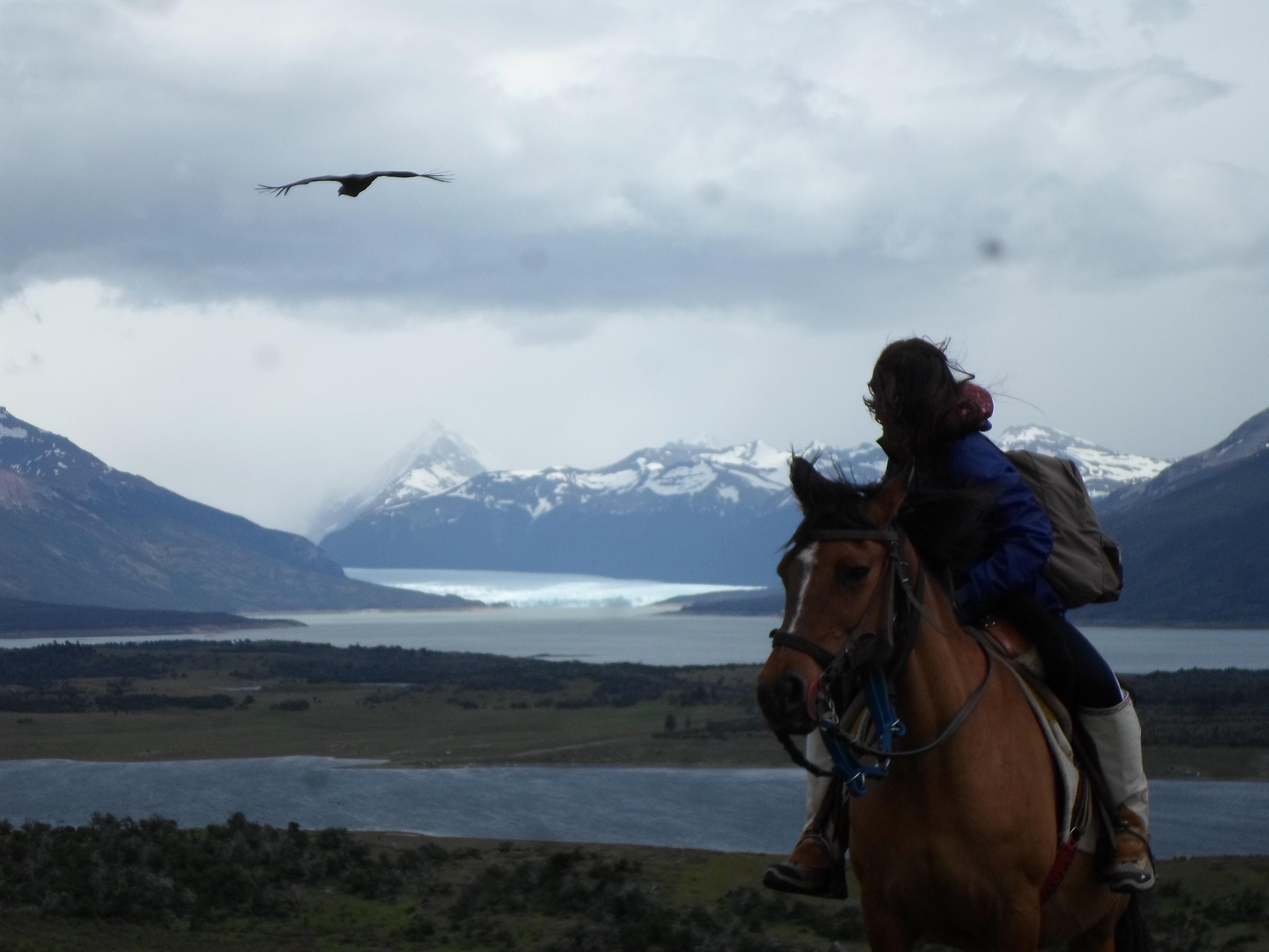 THE 10 BEST Province of Santa Cruz Horseback Riding Tours 2024