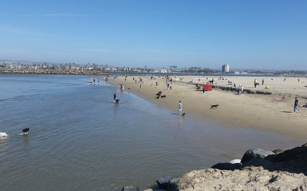 Puzzle - Dog Beach, Ocean Beach San Diego CA