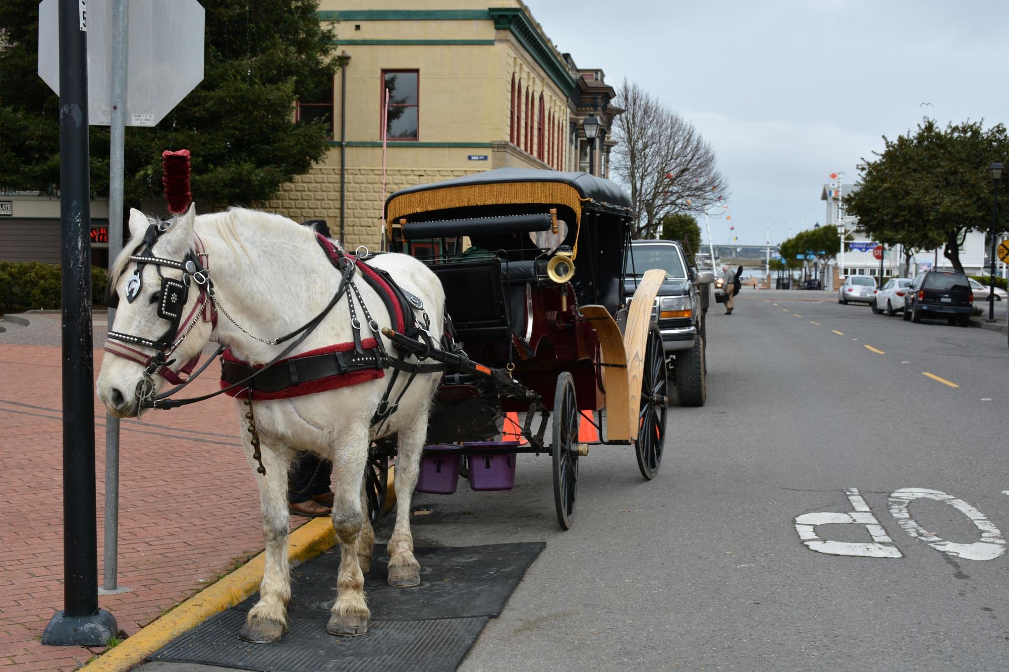 old town carriage co eureka tours