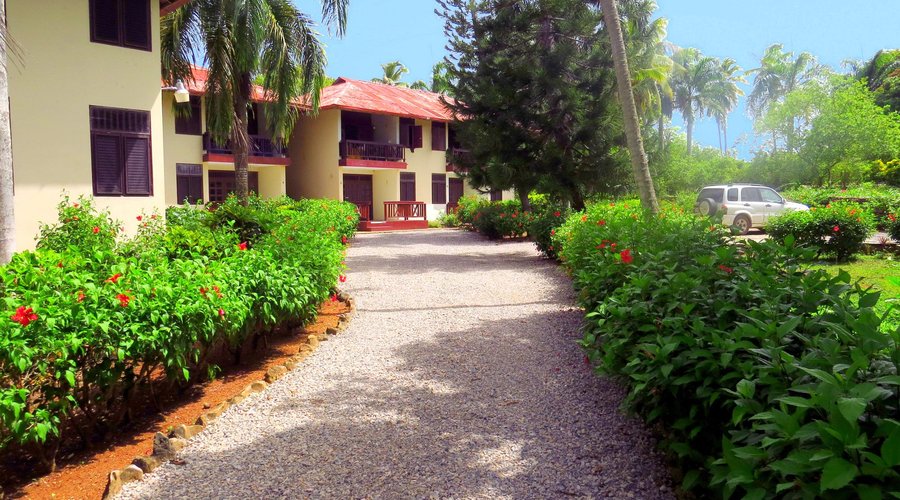 El Pelicano entrance driveway
