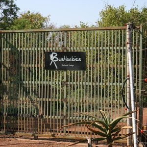 Entrance Gate to Bushbabies Game Lodge