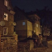 Скульптура Царевна-Лягушка