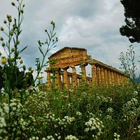 Parco Archeologico di Paestum