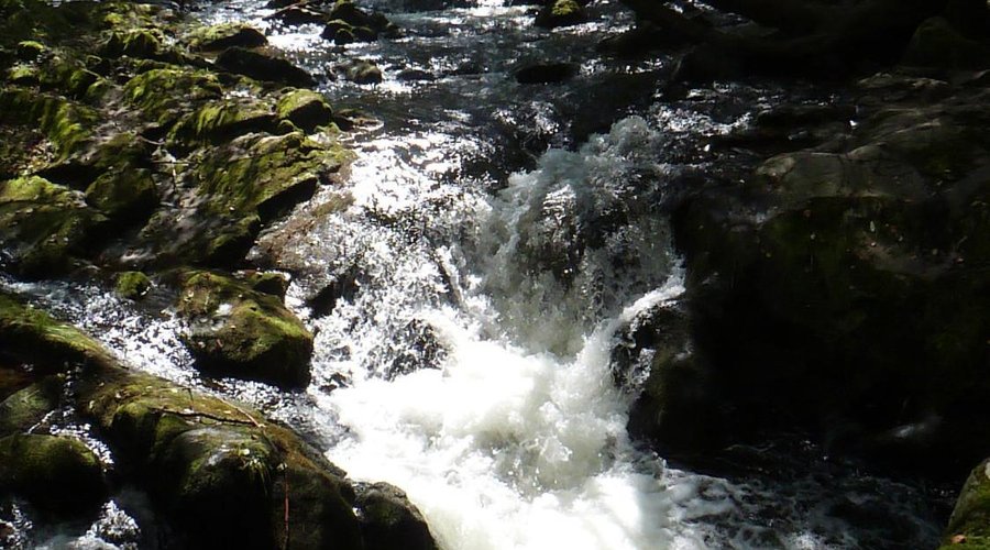 le saut des cuves