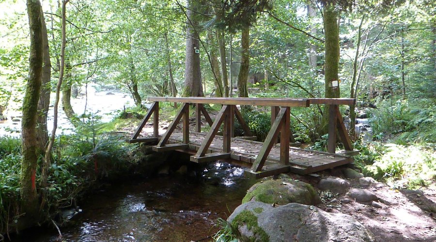 le saut des cuves