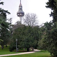 un tranquilo paseo en la naturaleza en pleno Madrid