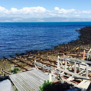 Kapiti Island Nature Tours