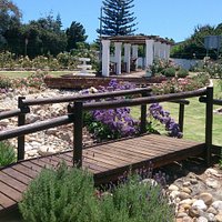 Durbanville Rose Garden