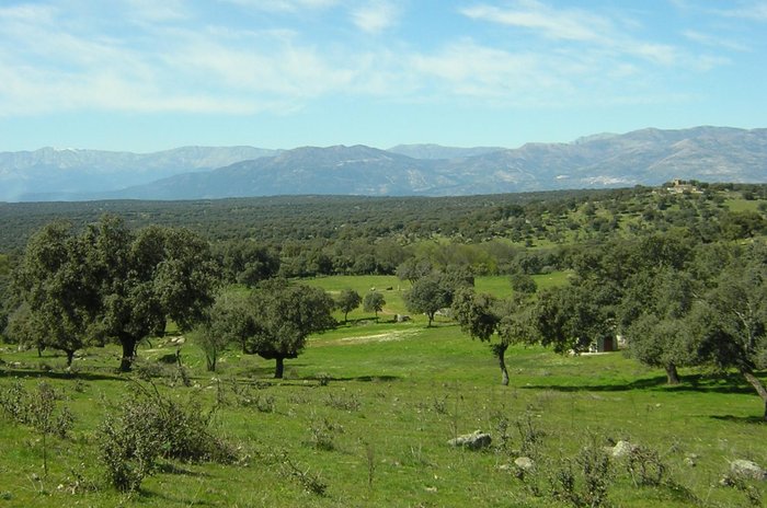 Imagen 8 de Complejo Rural Los Jarales