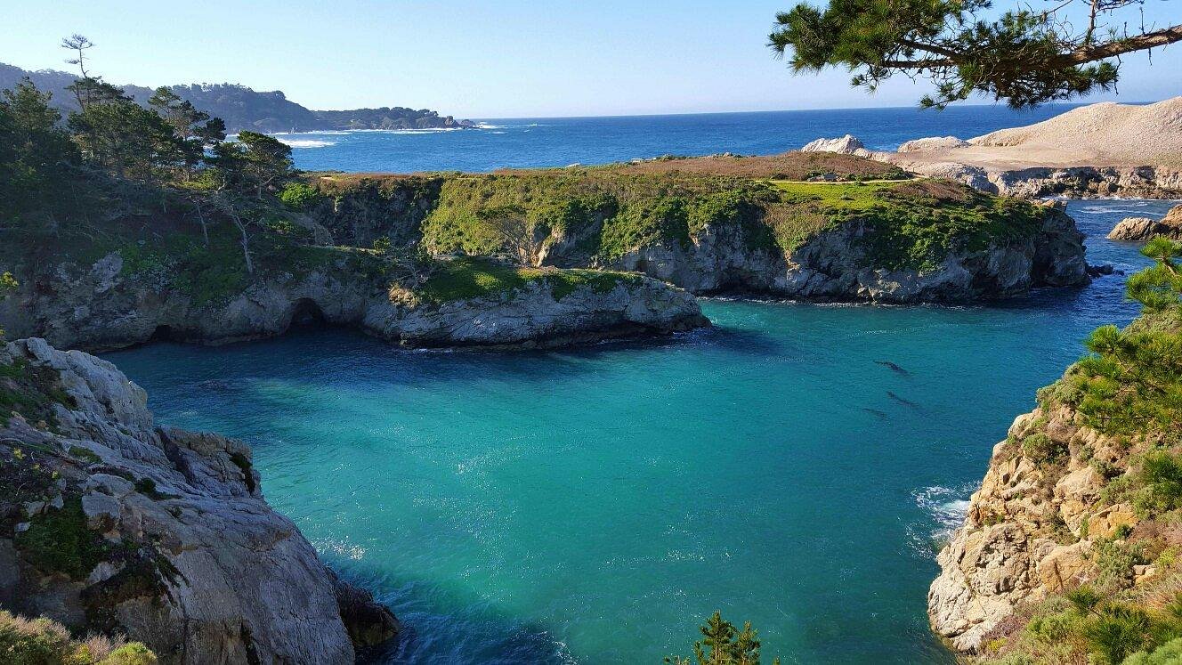 se permiten perros en point lobos