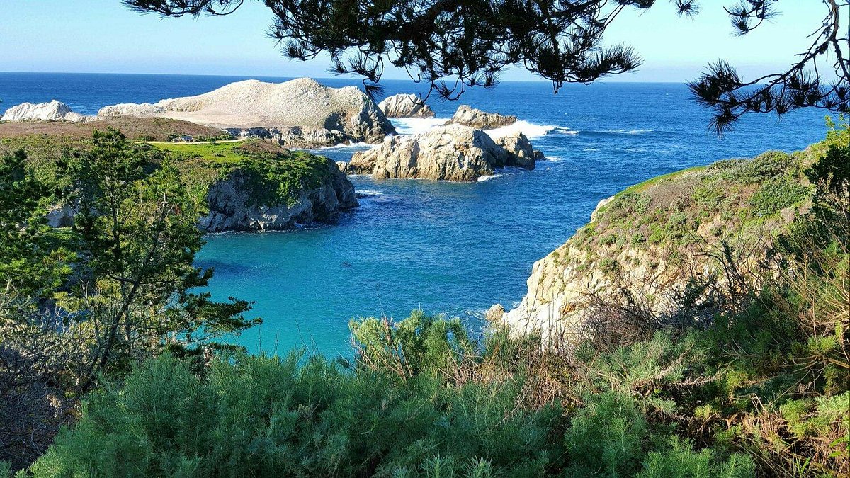 Point Lobos (Carmel) - All You Need to Know BEFORE You Go