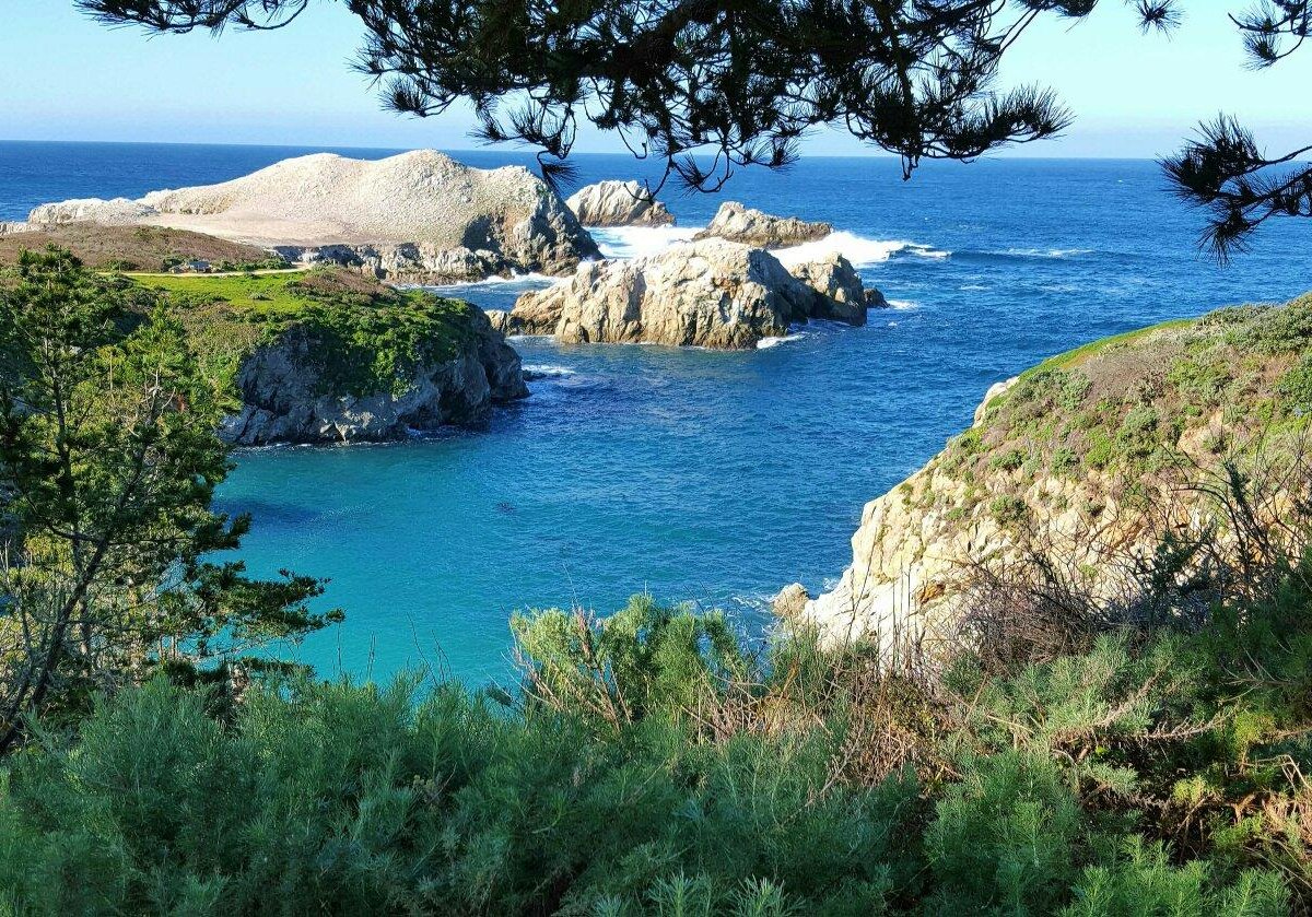 Point Lobos State Natural Reserve