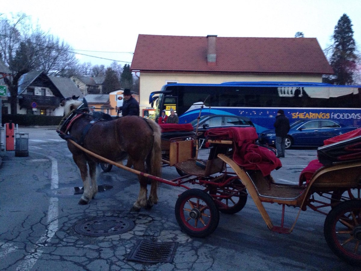 The Fiaker Coachmen of Bled, Блед: лучшие советы перед посещением -  Tripadvisor