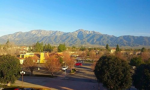 Refreshing view every morning when I wake up!