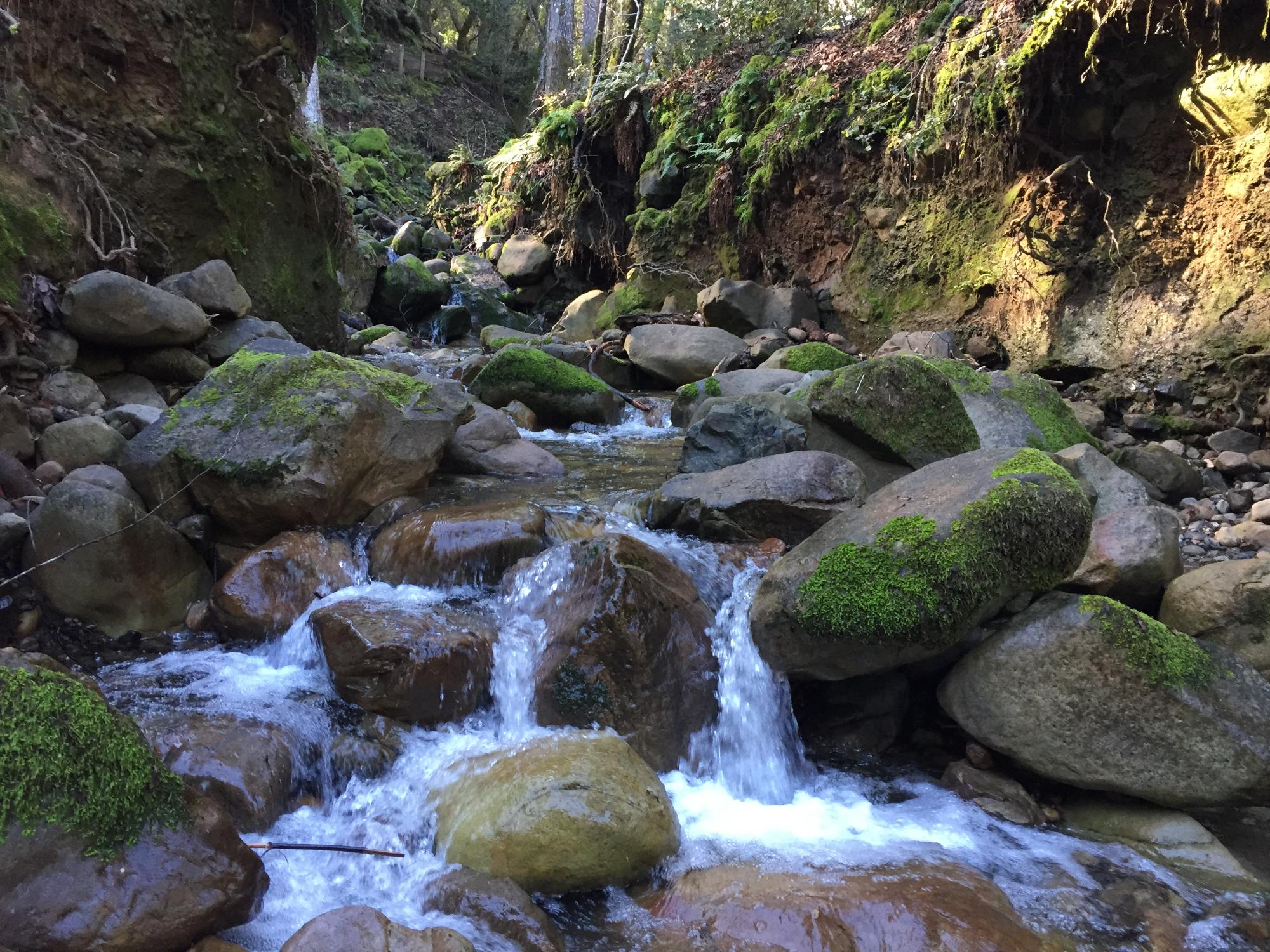 Uvas canyon shop park camping