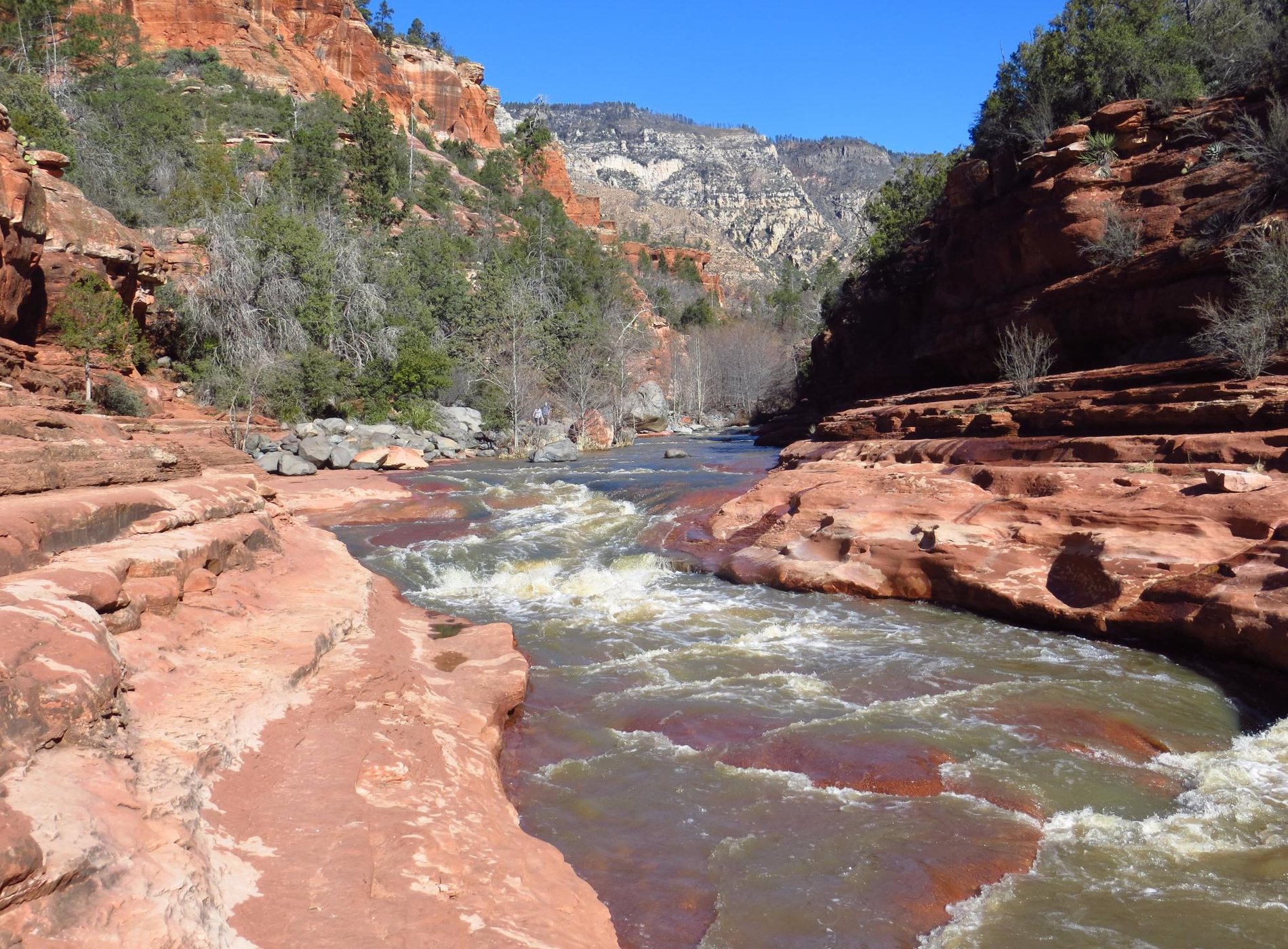 Inn Above Oak Creek by null