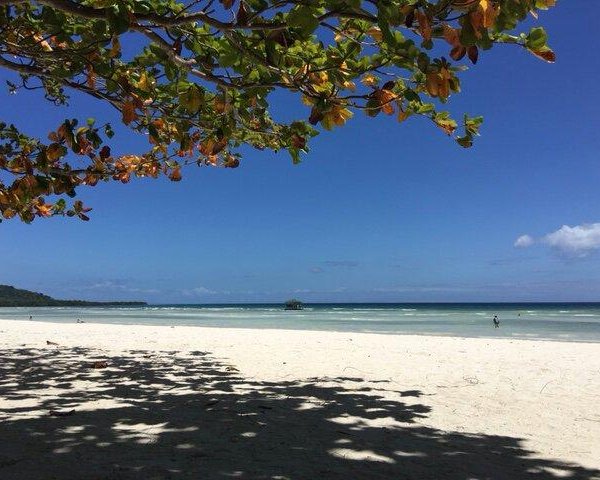 Banacon Island Mangrove Forest (Jetafe) - 2021 Alles wat u moet weten ...