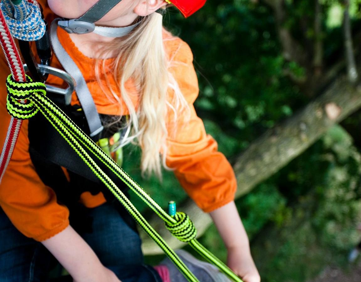 Goodleaf Tree Climbing Ryde All You Need To Know Before You Go