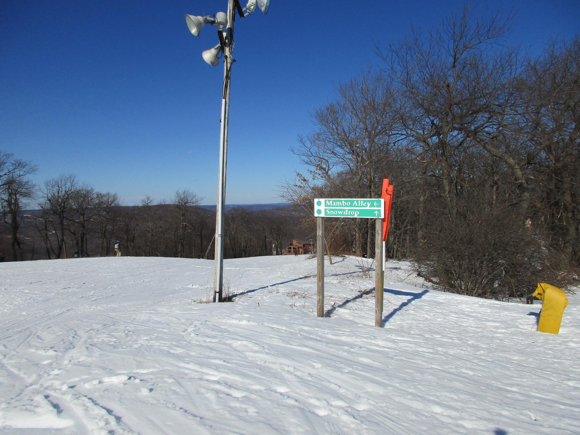 Blue deals knob ski