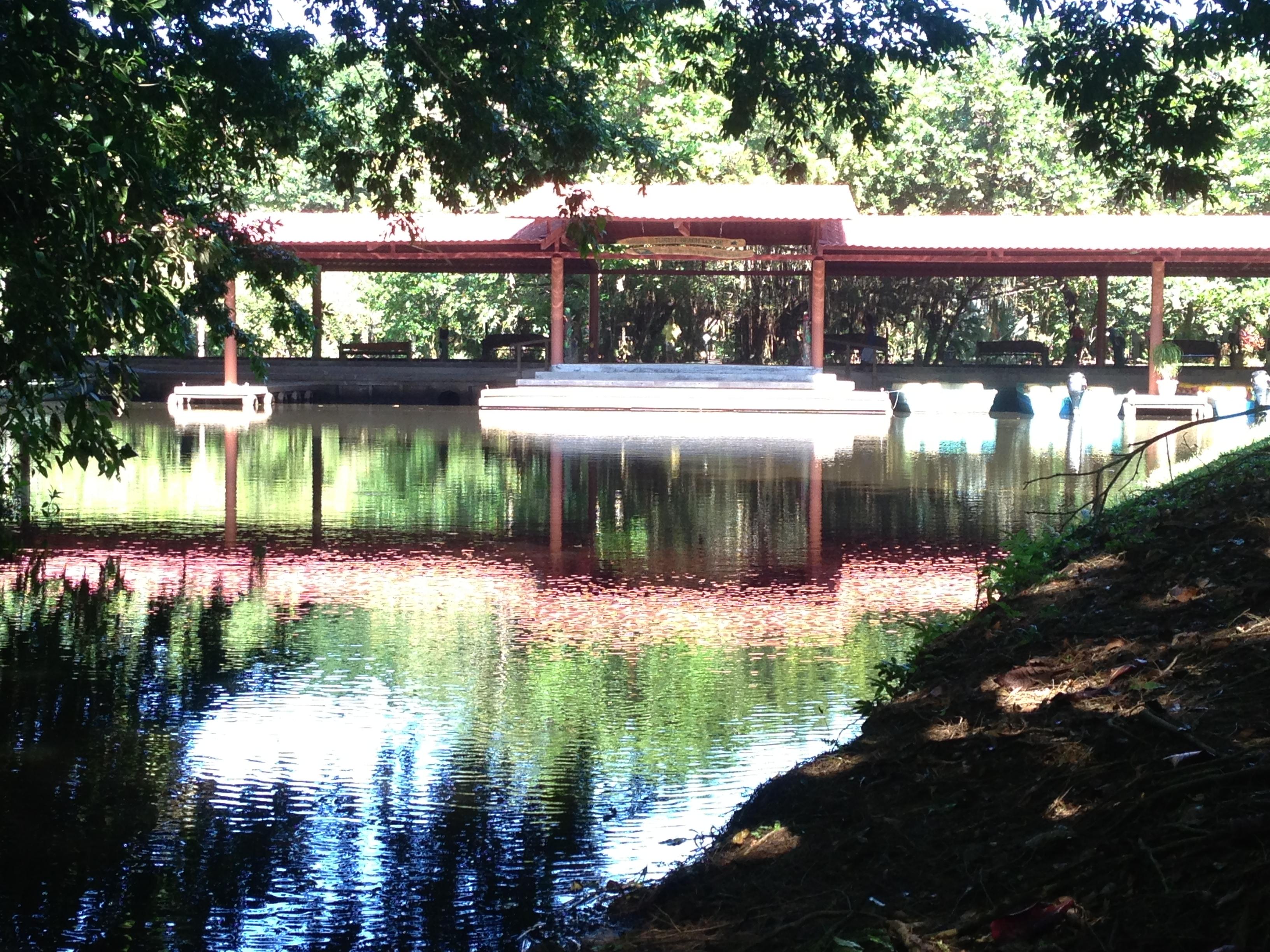 Hotel photo 8 of Turtle Beach Lodge.