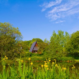 Forda Lodges and Cottages