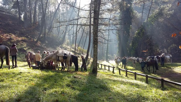 Imagen 1 de Gredos Ecuestre