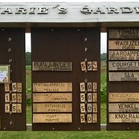 Marie's garden