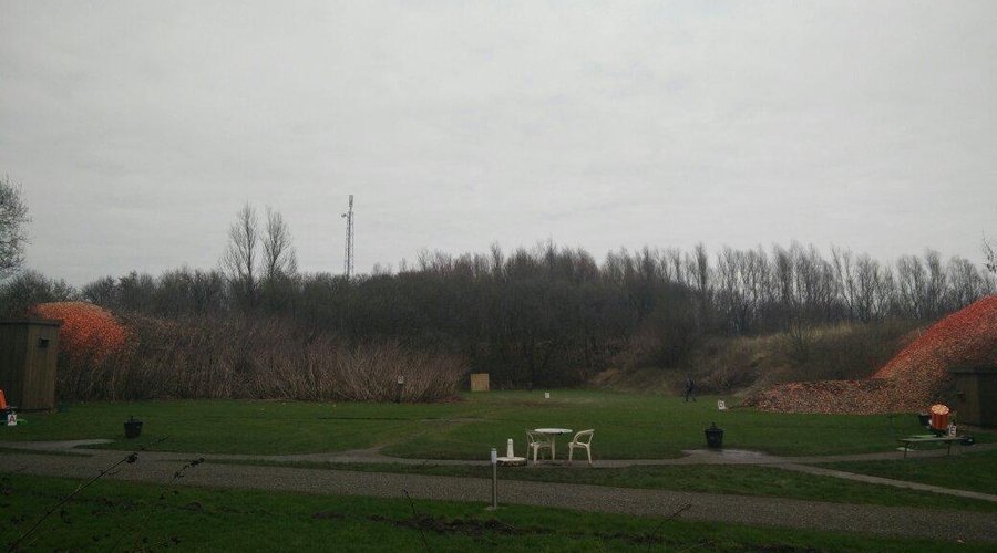 Dorhout Mees