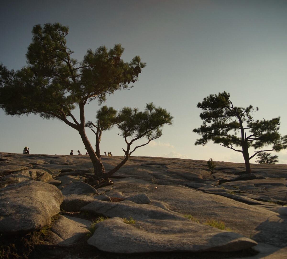 Stone Mountain Park All You Need to Know BEFORE You Go