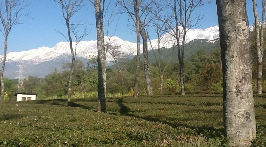 Mountains full of snow!
