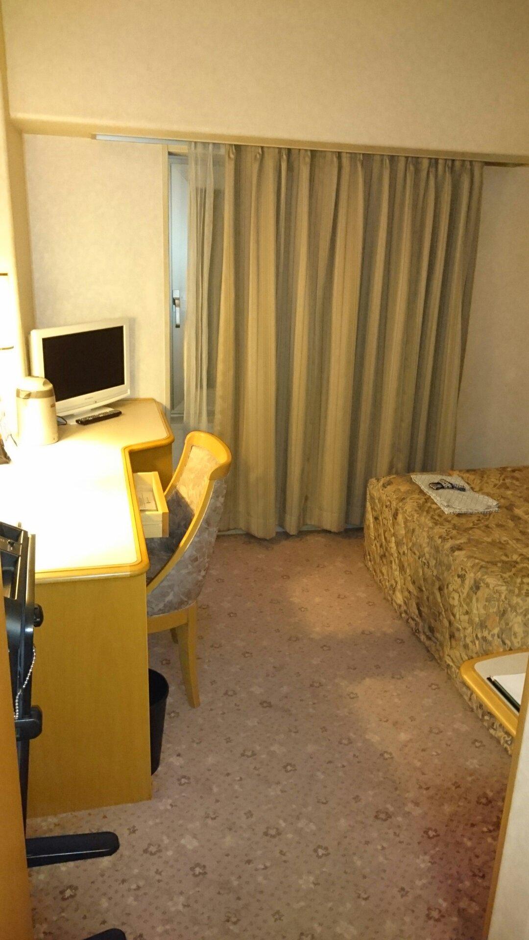 HOTEL NEW GREEN OKACHIMACHI - Prices & Reviews (Ueno, Japan)