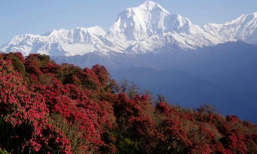mountain everest Nepal