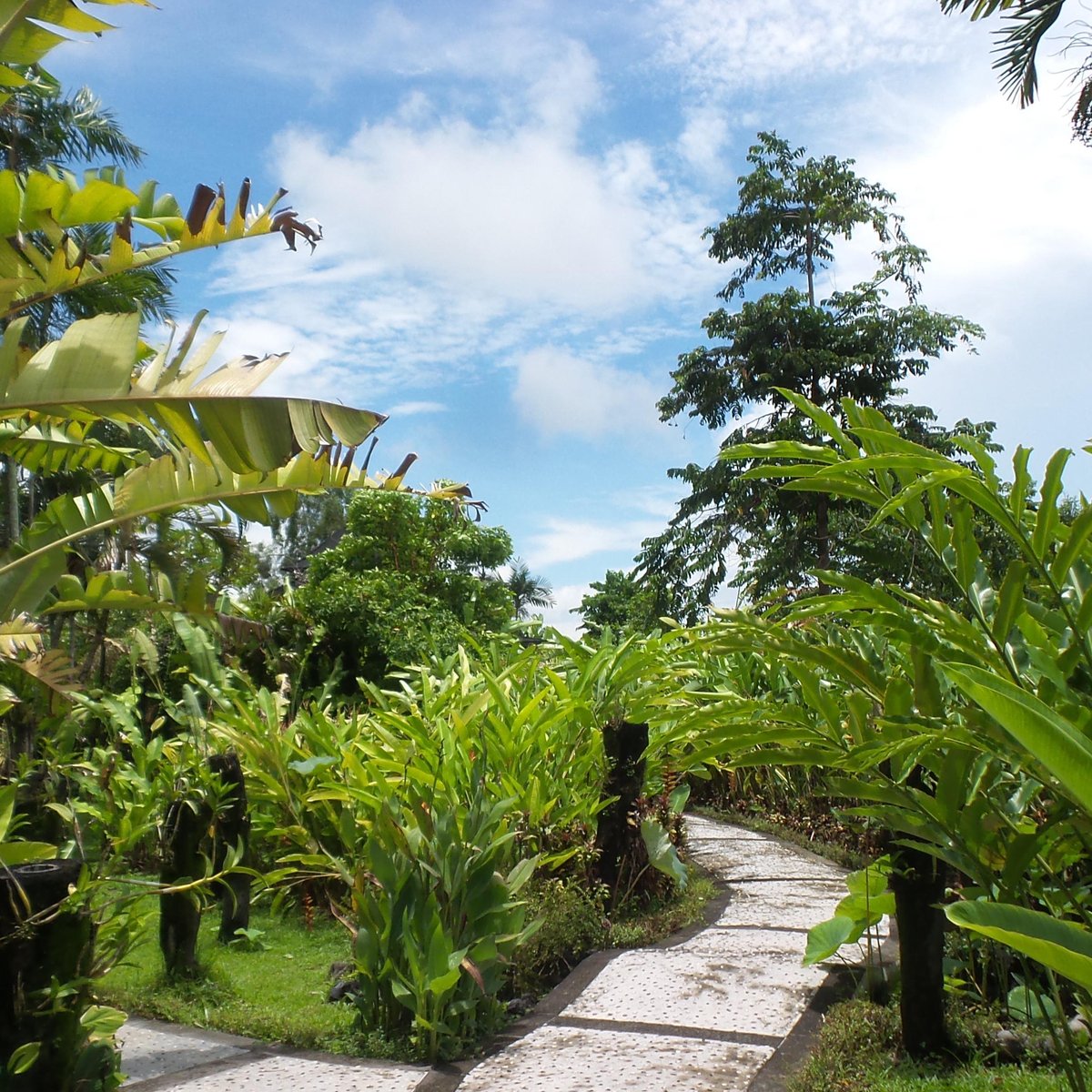 Bali Orchid Garden (Denpasar) - ATUALIZADO 2022 O que saber antes de ir ...