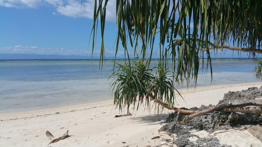Muro Ami Beach Resort Prices Reviews Bohol Province Panglao Island Tripadvisor