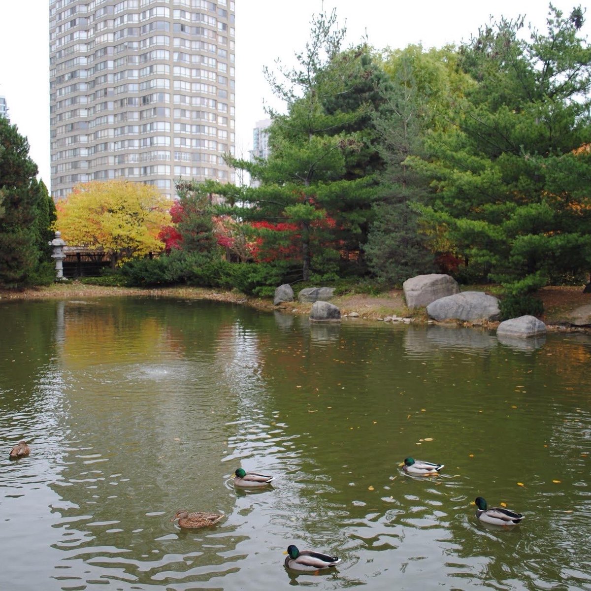 Kariya Park Activities