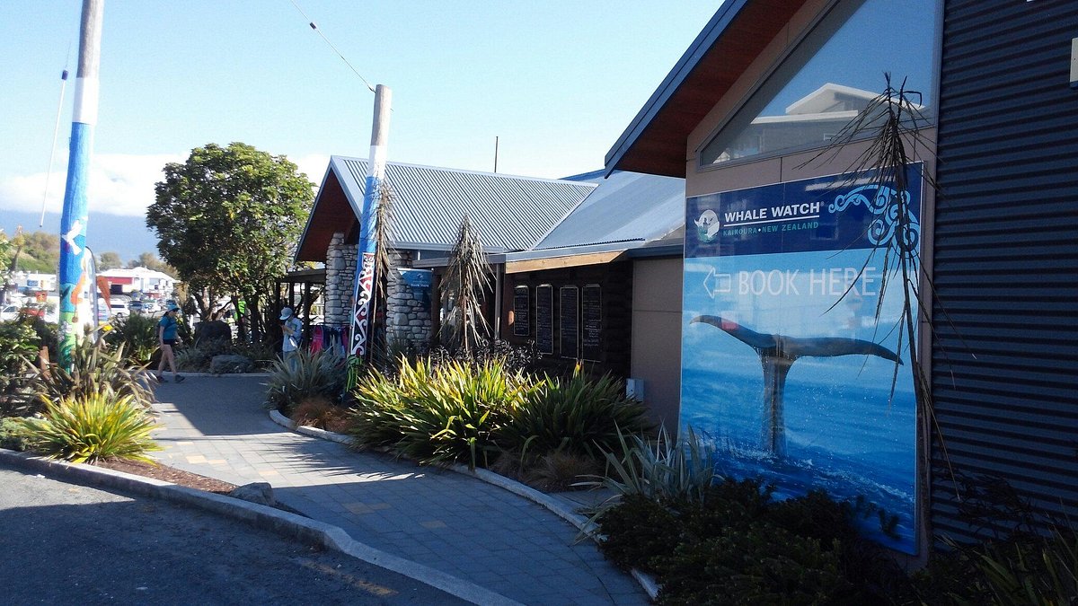 kaikoura tourist information centre