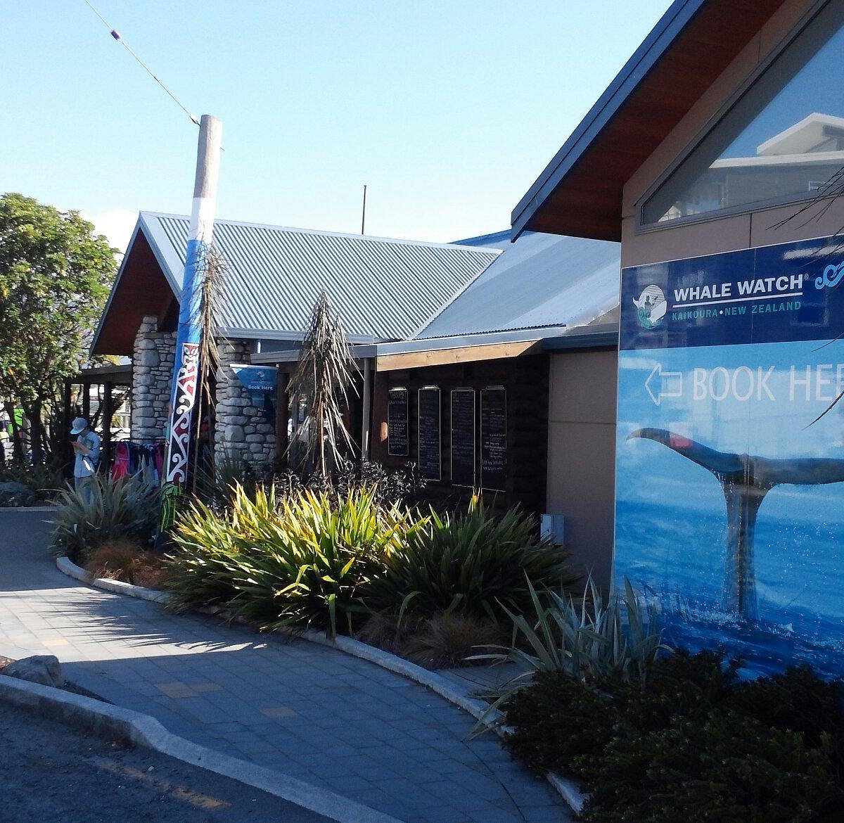 kaikoura tourist information centre