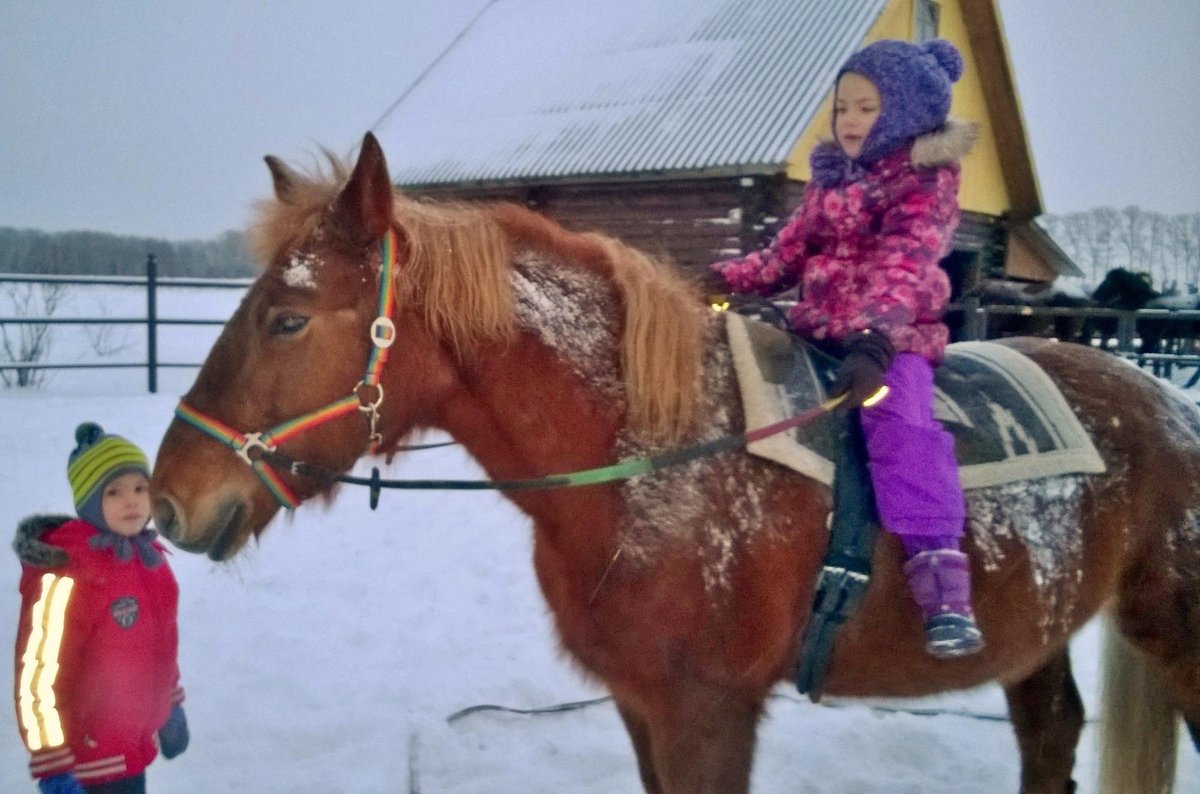 Конный двор в Менделеевске