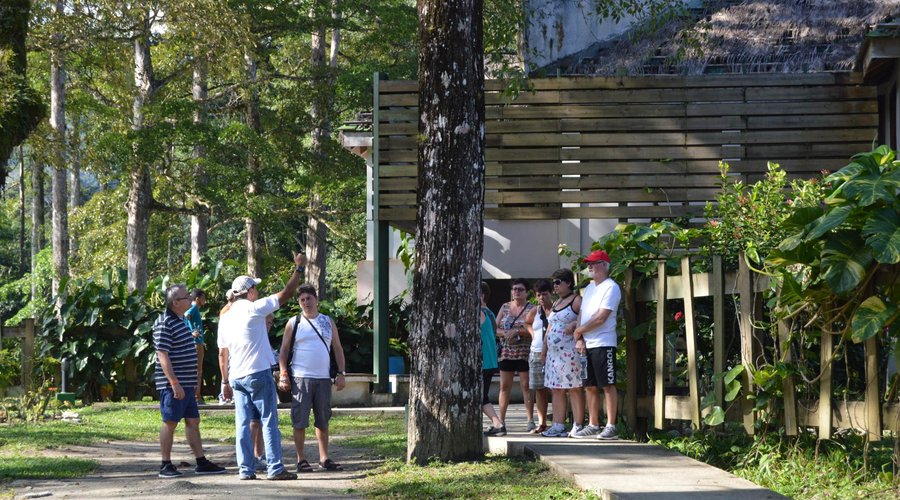 Tourists just outside the Visitor's Center at Lancetilla Gardens