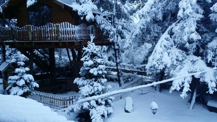 Imagen 17 de El xalet de Prades