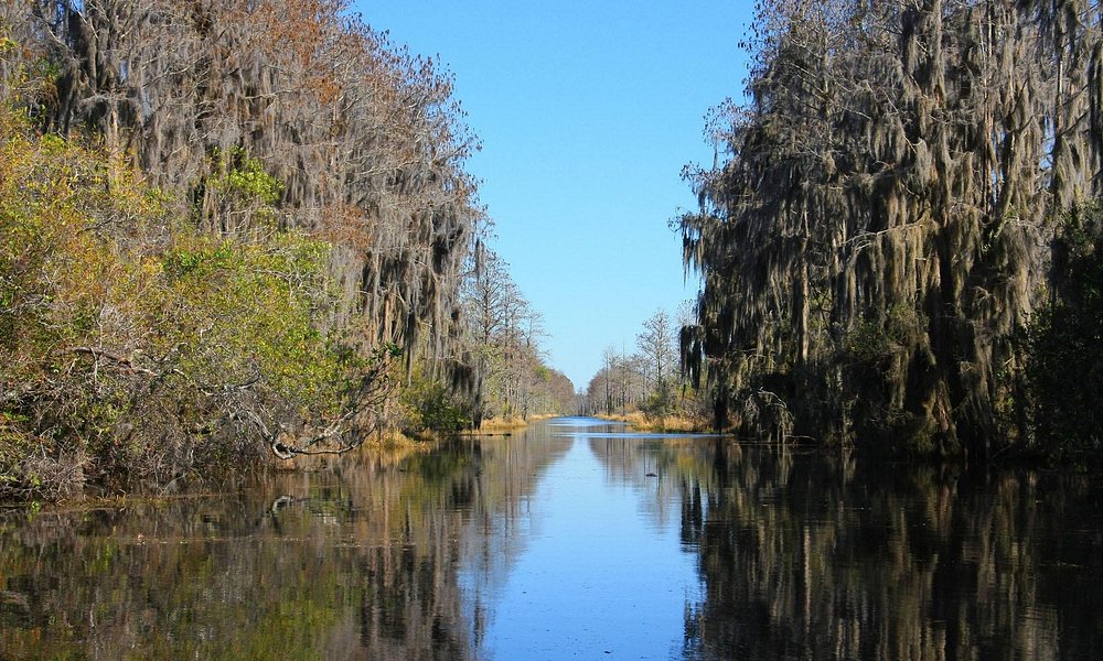 Okefenokee Swamp