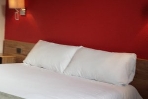 Room & Suite