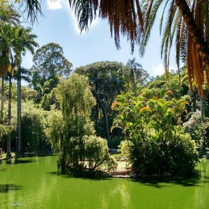 Parque Ecológico da Pampulha e Casa do Baile reabrem ao público em